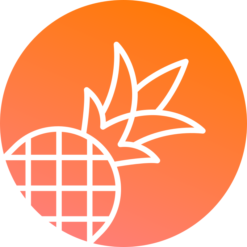 Pineapple Builder} icon