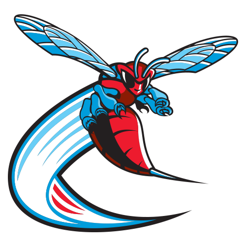 Delaware State Hornets