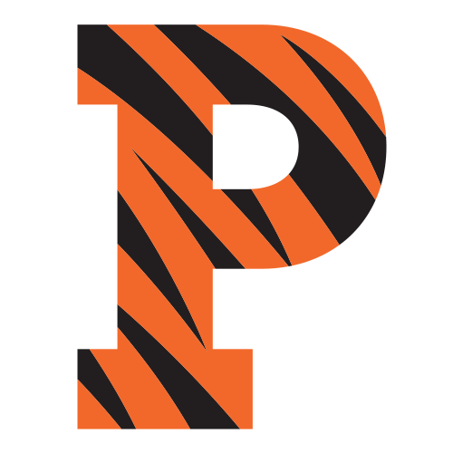 Princeton Tigers