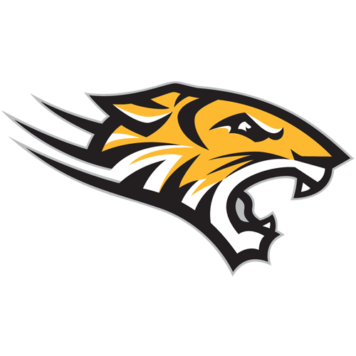 Towson Tigers