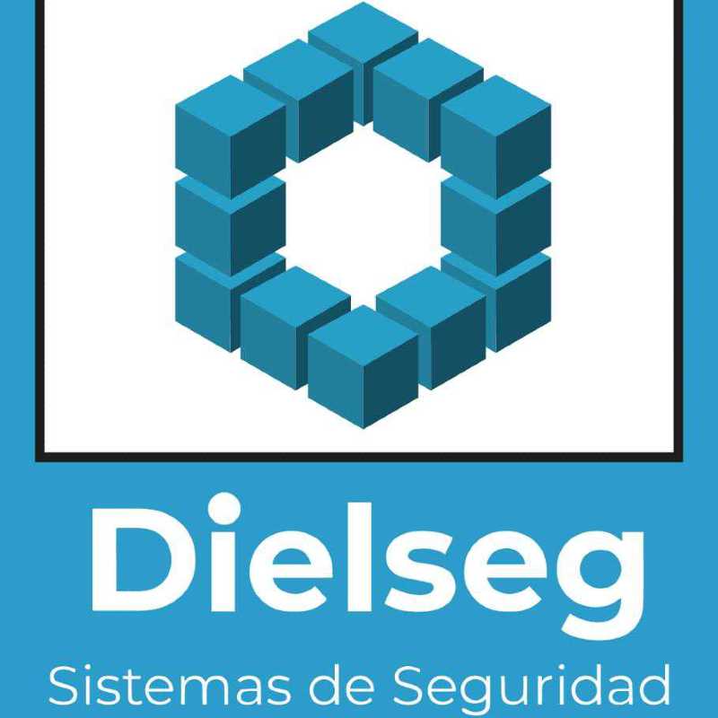 Dielseg 