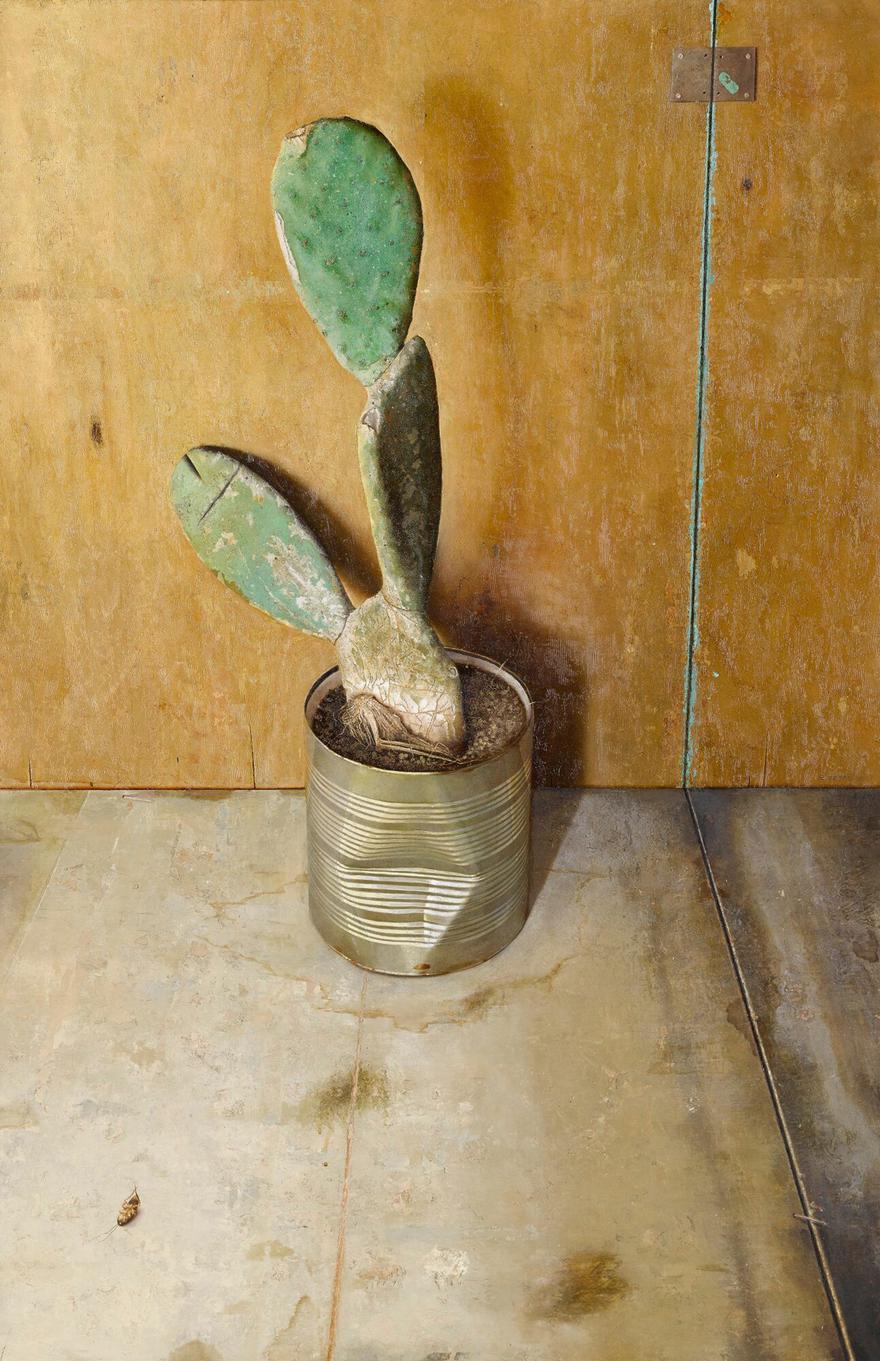 Cactus, 2001