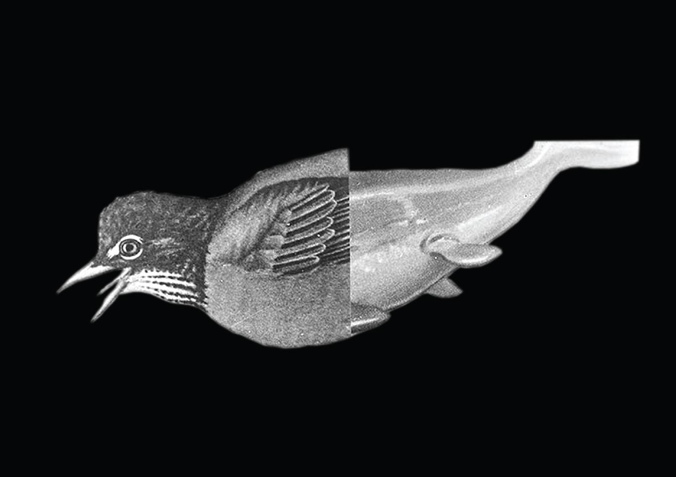 Mar Chaim  The Fish is the Head of the Bird, 2020
Installation view, Tel Aviv Museum of Art
Creator: Yoni Niv 
Co-creator: Uri Noam