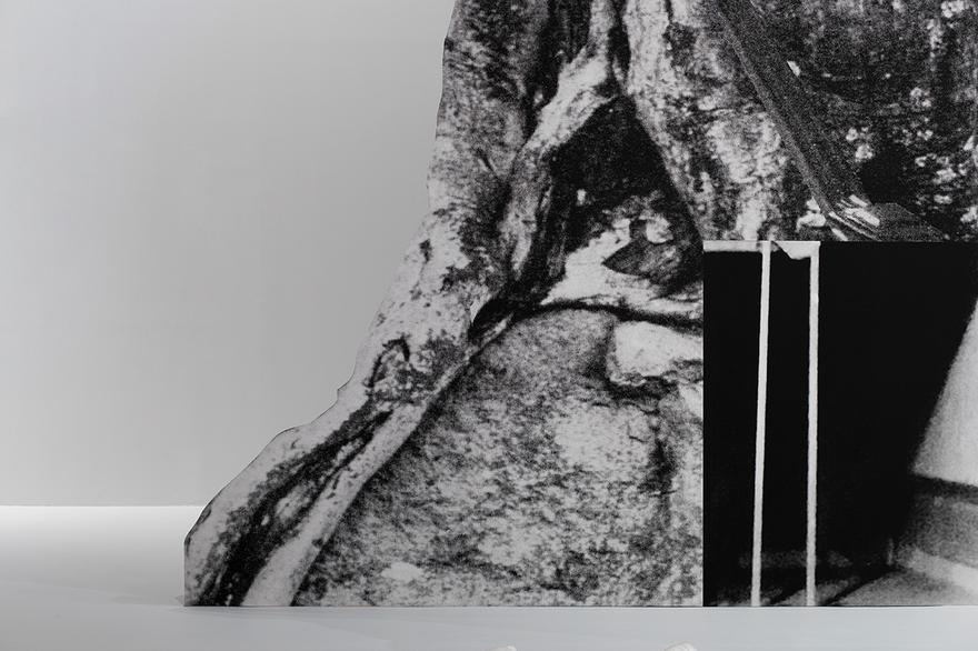 מראה הצבה (הדמיה), 2019