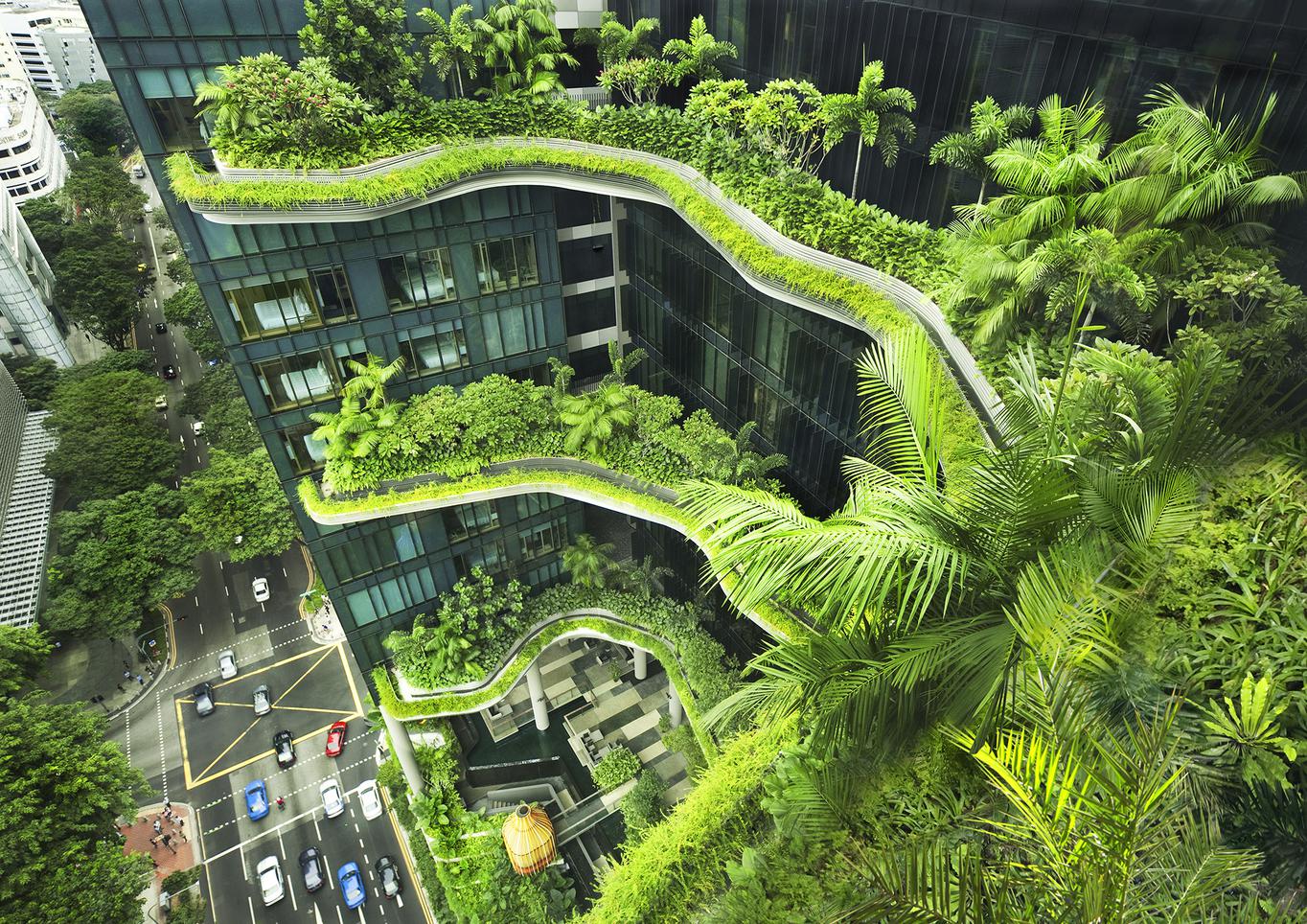 Solar Guerrilla: Constructive Responses to Climate Change