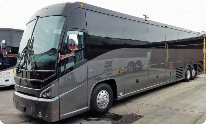 Discover Florida with Miami Shuttle & Charter Bus Services