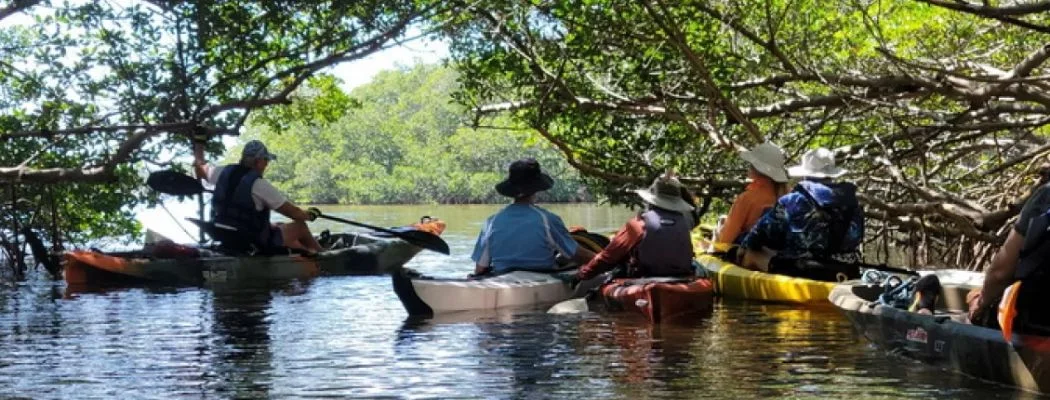 Unique Team Outing Ideas to Try in Tampa