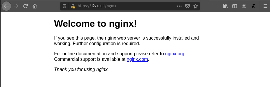 nginx-with-ingress