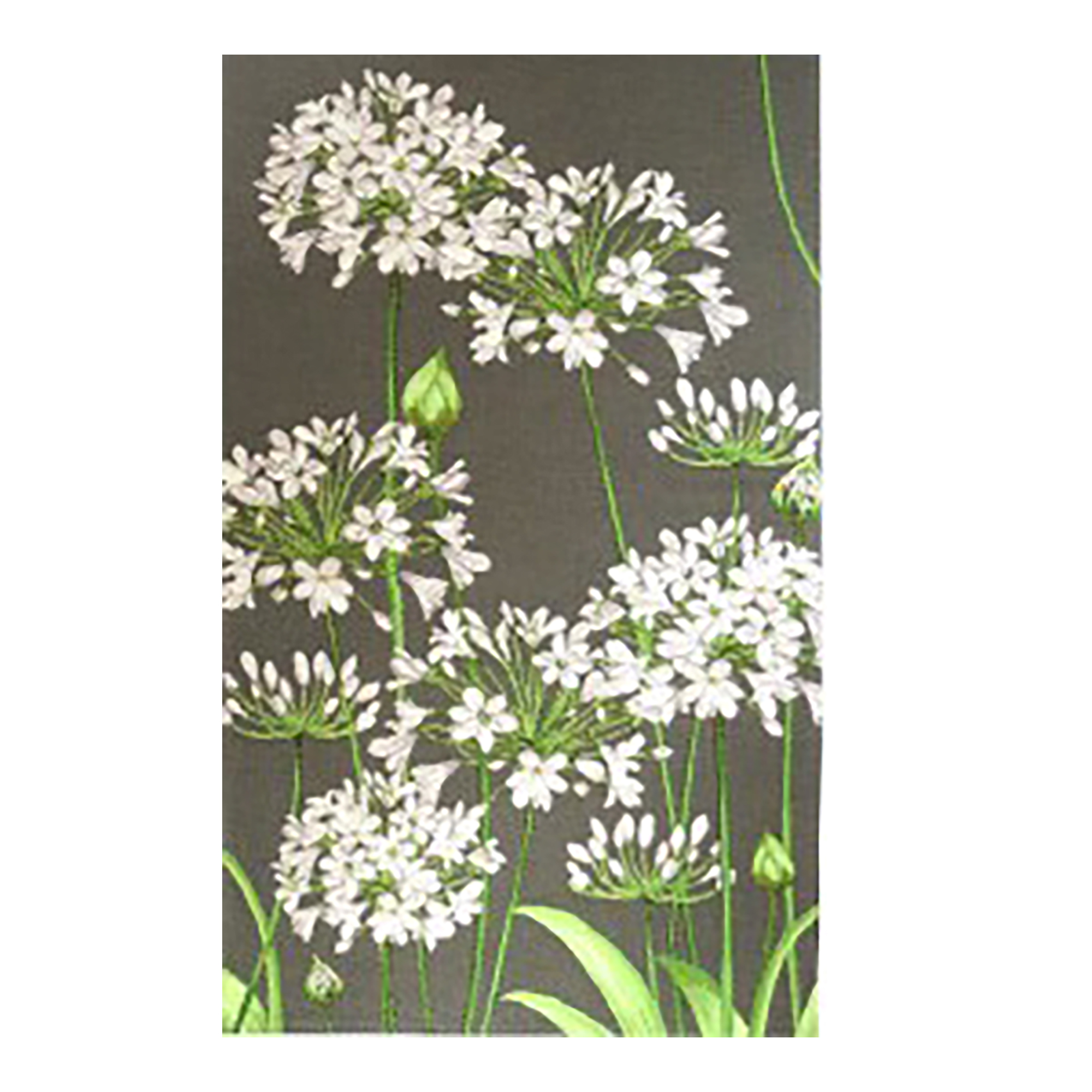 Agapanthus Grey French Table Mat