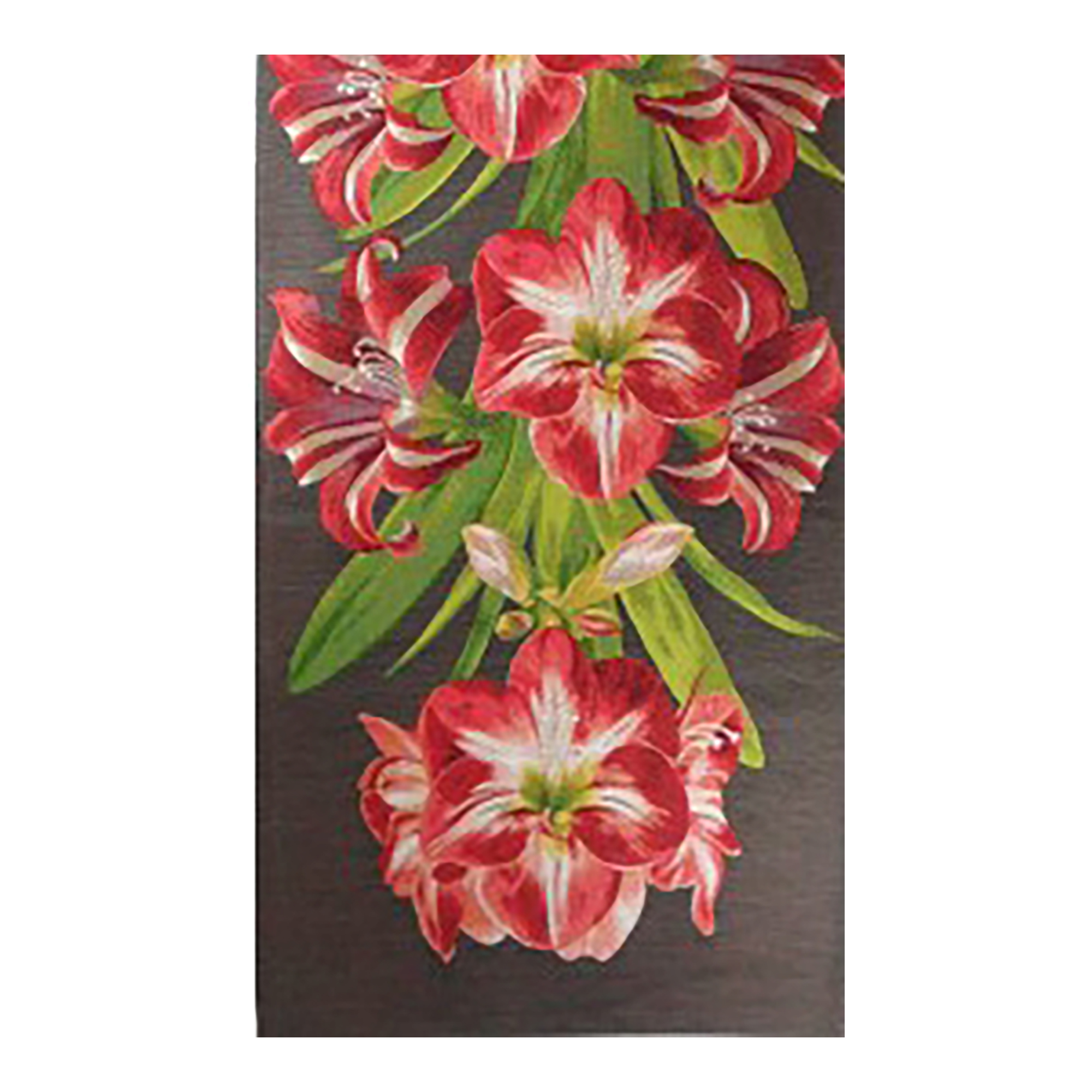 Amaryllis Dark French Table Mat