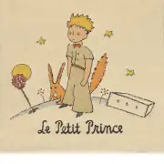 The Little Prince I Belgian Sofa Pillow Cover | Close Up 1