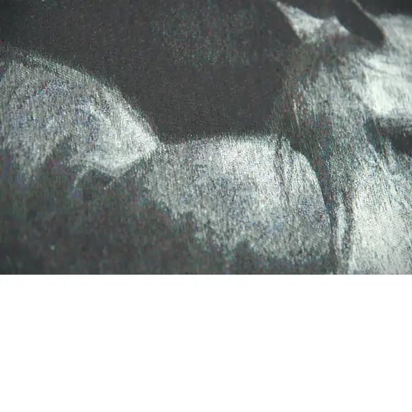Horse in Charcoal Couch Pillow | Close Up 2