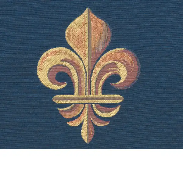 Framed Fleur de Lys Blue Cushion | Close Up 2