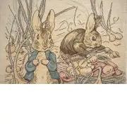 Benjamin Beatrix Potter  Belgian Cushion Cover | Close Up 2