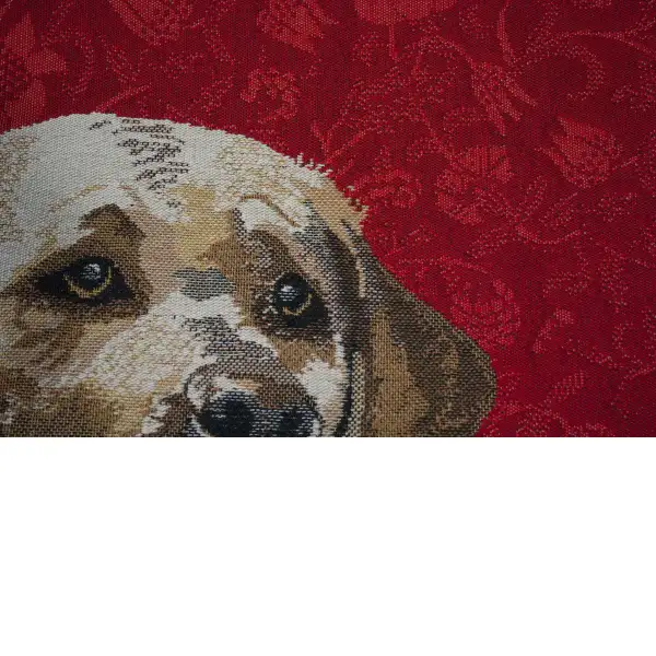 Labrador Red Belgian Cushion Cover | Close Up 3