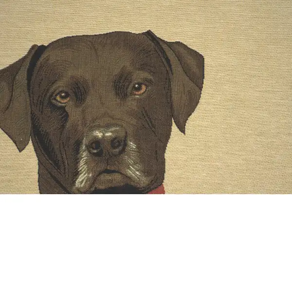 Baron Labrador Black Belgian Cushion Cover - 18 in. x 18 in. Cotton by Thierry Poncelet | Close Up 2