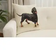 Pickles the Dachschund Cushion Cover | Close Up 1