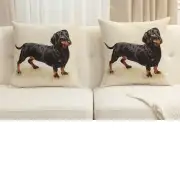 Pickles the Dachschund Cushion Cover | Close Up 5