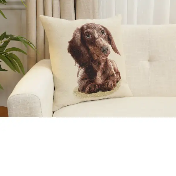 Little Dasch Cushion Cover - 18 in. x 18 in. Cotton/Polyester/Acrylic by Charlotte Home Furnishings Inc | Close Up 1