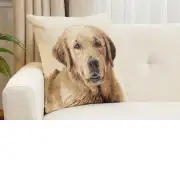 Marley Cushion Cover - 18 in. x 18 in. Cotton/Polyester/Acrylic by Charlotte Home Furnishings Inc | Close Up 1