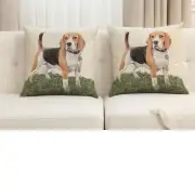 Beagle Cushion Cover | Close Up 5