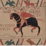 Bayeux Horse Belgian Sofa Pillow Cover | Close Up 1