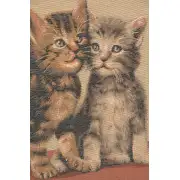 Two Kittens Cushion - 19 in. x 19 in. Cotton by Charlotte Home Furnishings | Close Up 2