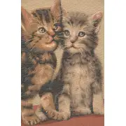 Two Kittens French Couch Cushion | Close Up 2