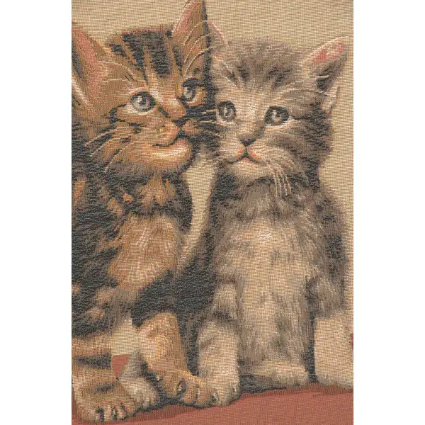 Two Kittens Cushion - 19 in. x 19 in. Cotton by Charlotte Home Furnishings | Close Up 2