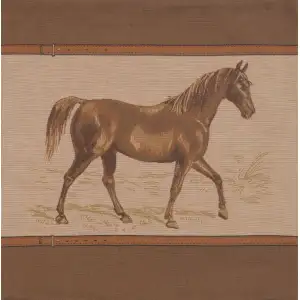 Horse Belt Tapestry Cushion Cover - 19 in. x 19 in. Cotton by Charlotte Home Furnishings Inc