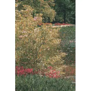 Keukenhof V Belgian Tapestry - 69 in. x 48 in. Cotton/Viscose/Polyester by Charlotte Home Furnishings Inc