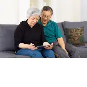 Sunflowers Belgian Couch Pillow | Life Style 2