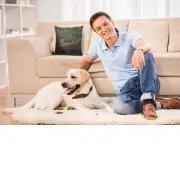 Stary Night Belgian Couch Pillow | Life Style 2