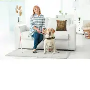 Sunflowers Yellow Belgian Couch Pillow | Life Style 2