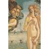 Nascita di Venere by Sandro Botticelli Italian Tapestry Wall Hanging | Close Up 2