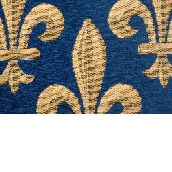 Fleur De Lys Blue II Velvet Background Belgian Cushion Cover - 18 in. x 18 in. SoftCottonChenille by Charlotte Home Furnishings | Close Up 1