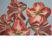 Amaryllis Flowers V Blue Cushion | Close Up 2