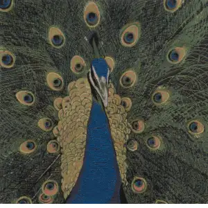 The Peacock Tapestry Cushion Cover - 19 in. x 19 in. Cotton by Charlotte Home Furnishings Inc