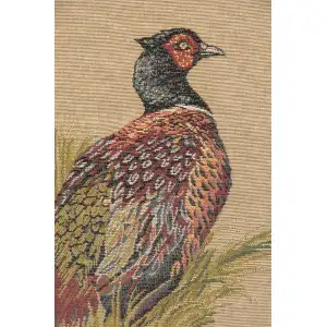 Pheasant Tapestry Cushion Cover - 19 in. x 19 in. Cotton by Charlotte Home Furnishings Inc