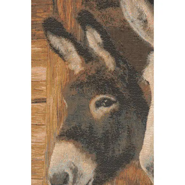 Donkeys Cushion - 19 in. x 19 in. Cotton by Charlotte Home Furnishings | Close Up 2