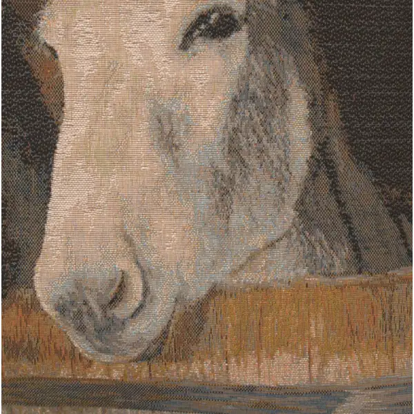 Donkeys French Couch Cushion | Close Up 4