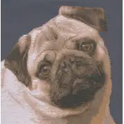 Pugs Face Blue Cushion | Close Up 1