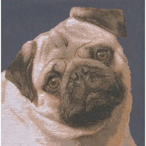 Pugs Face Blue Cushion - 18 in. x 18 in. Cotton by Charlotte Home Furnishings | Close Up 1