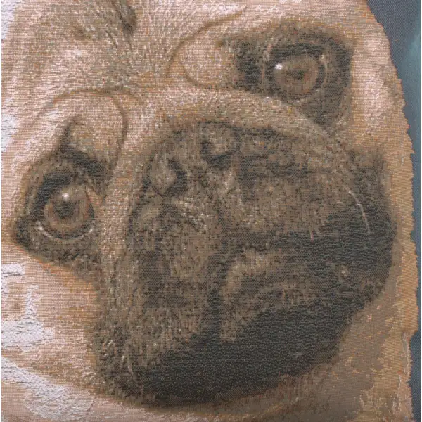 Pugs Face Blue Cushion - 18 in. x 18 in. Cotton by Charlotte Home Furnishings | Close Up 3