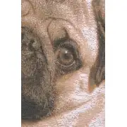 Pugs Face Grey Cushion - 19 in. x 19 in. Cotton by Charlotte Home Furnishings | Close Up 2