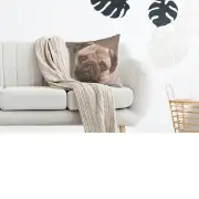 Pugs Face Grey  Cushion | Life Style 1