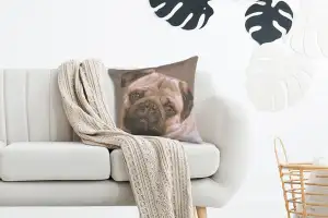 Pugs Face Grey  French Couch Cushion