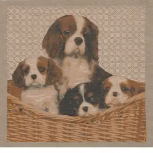 Cavalier King Charles Family Tapestry Cushion Cover - 19 in. x 19 in. Cotton by Charlotte Home Furnishings Inc