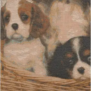 Cavalier King Charles Family Tapestry Cushion Cover - 19 in. x 19 in. Cotton by Charlotte Home Furnishings Inc