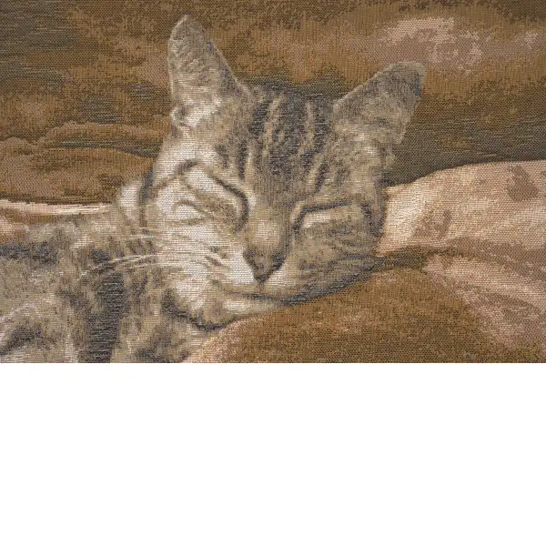 Sleeping Cat Brown I Cushion | Close Up 2
